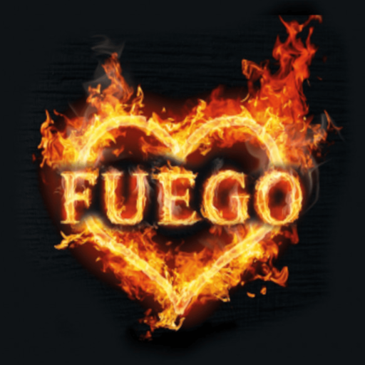 Fuego Paderborn logo