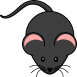 Mouse Catch Simulator icon