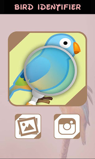 Android application Automatic Bird Identifier screenshort