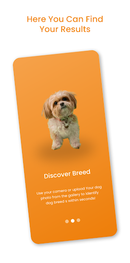 Breed Recognition: Dog Scanner Screen 2