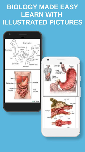 Biology Notes With Pictures Screen 3
