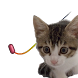Cat Toy - moving point for cat - Androidアプリ