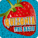 Quizonia The Basic - Androidアプリ
