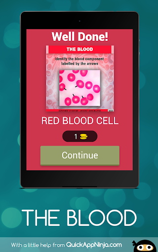 Anatomy Online Quiz The Blood