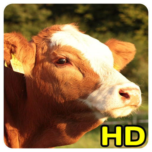 cow wallpaper logo