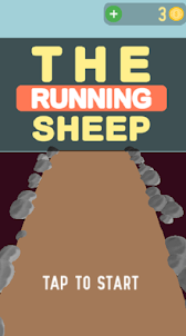 Running Sheep Race