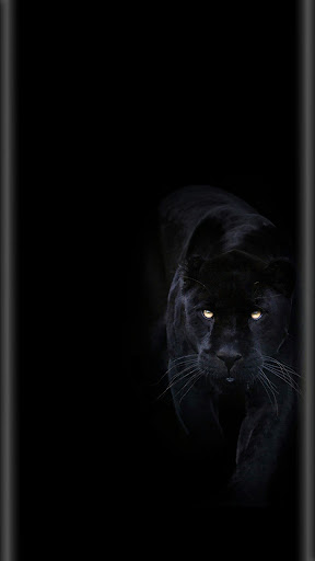 Border Light Wallpaper Screenshot 1 - AppWisp.com