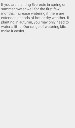 Evereste Crabapple Flower