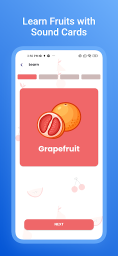 Fruido - Learn Audio Card Screen 3