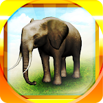 Cover Image of Download REAL ANIMALS HD (Full)  APK