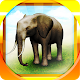 REAL ANIMALS HD (Full) Télécharger sur Windows