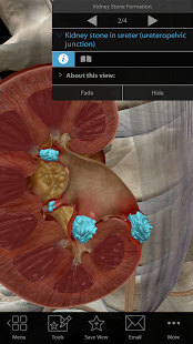 Snímek obrazovky Fyziologie a patologie