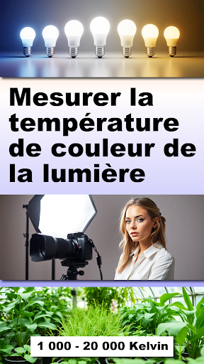 Aperçu de l'application