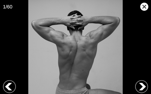 Screenshot of 3D Anatomy for the Artist