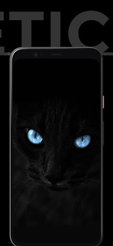 Black Aesthetic Wallpaper HD Offline - Latest version for Android -  Download APK