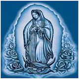 Fondos de Virgen de Guadalupe icon