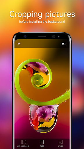 Screenshot of Macro Wallpapers 4K