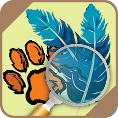 Icon image