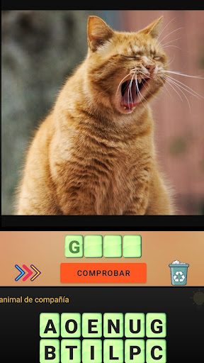 VEO VEO Screen 2