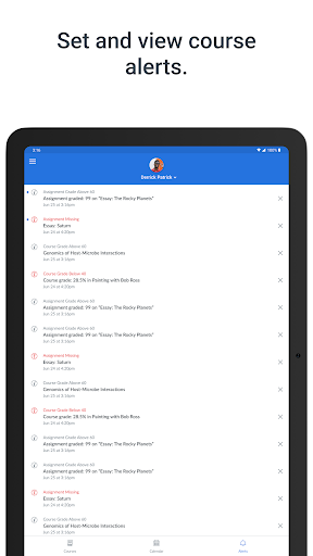 Screenshot of Canvas Parent
