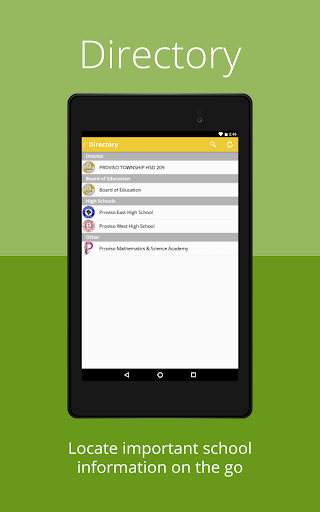 Proviso Township District 209