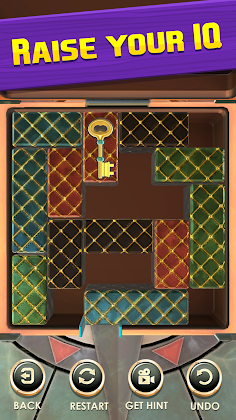 Unblock Puzzle: Slide Blocks - Screenshot 2