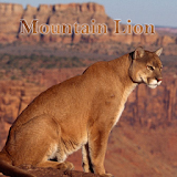 Mountain Lion Sounds icon