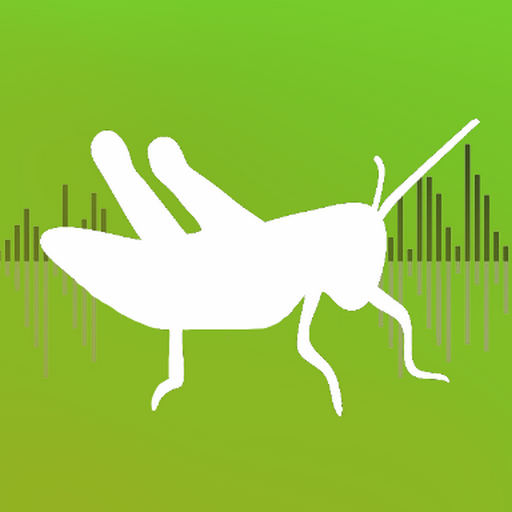 CrickIt logo