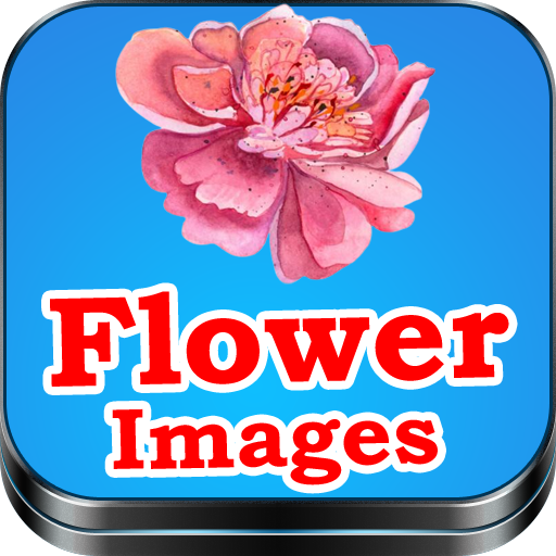 Flower Images 1.0 Icon