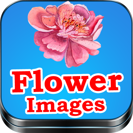 Flower Images
