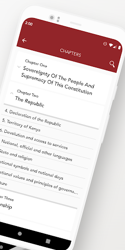 The Constitution of Kenya Screen 2
