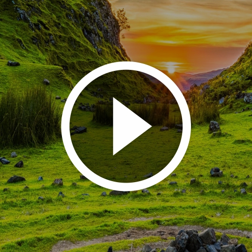 Live wallpaper HD:4K wallpaper logo
