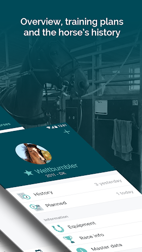 Mosson Stable Screen 2
