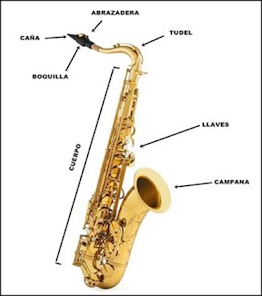 Captura 3 Aprende a tocar Saxofón fácil android