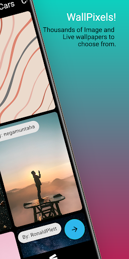 WallPixels Screen 2