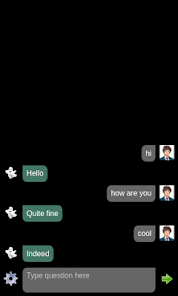 Ghost chat app