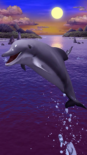 イルカは壁紙を生きます By Iim Mobile Google Play Japan Searchman App Data Information