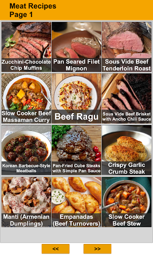 Android application 200 Meat Recipes screenshort