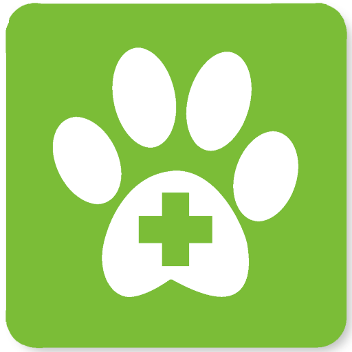 Med Buddy logo