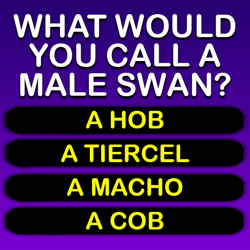Hard Trivia Quiz