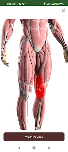 Trigger point - Bodymax Screen 2