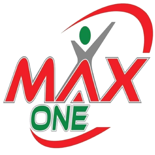 MAX ONE logo