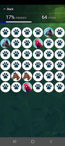 Match Picture Pairs Screen 2
