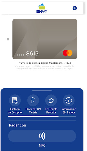 BN Pay Screen 3