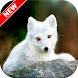 Arctic Fox Wallpaper - Androidアプリ
