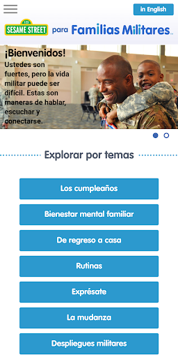 Vista previa de la aplicación