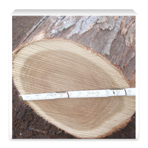 Log Scale Tally