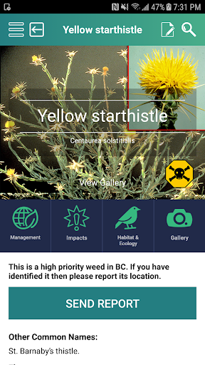 WeedsBMP Screen 2