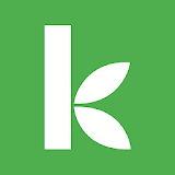 Kiva icon