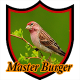 Master Kicau Burung Gereja icon